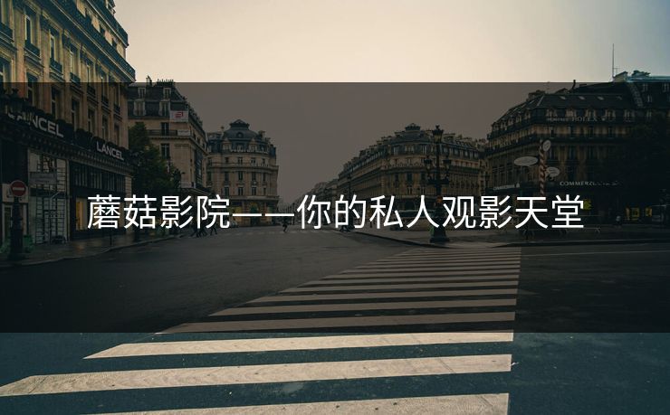 蘑菇影院——你的私人观影天堂